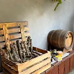 Pod Lípou Dolní Brusnice