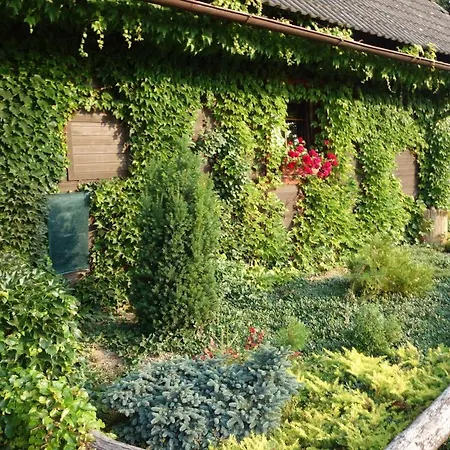 Pod Lipou Inn *
