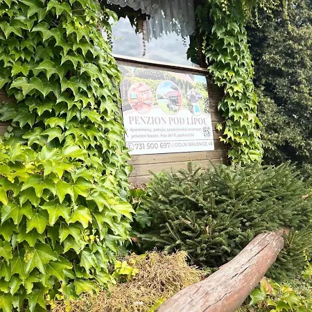 Mini-hôtel Pod Lipou *