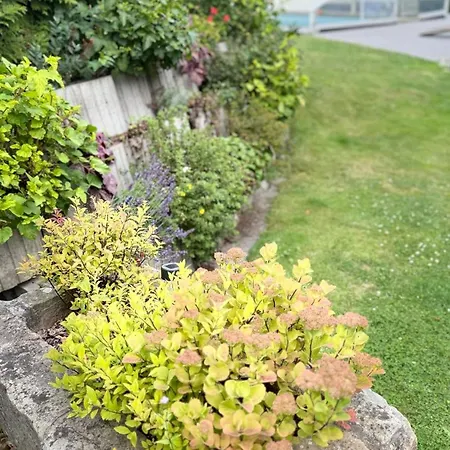 Pod Lipou * Dolní Brusnice