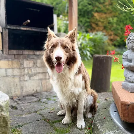 Pod Lipou Dolní Brusnice