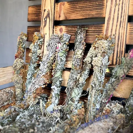 Mini-hôtel Pod Lipou Dolní Brusnice