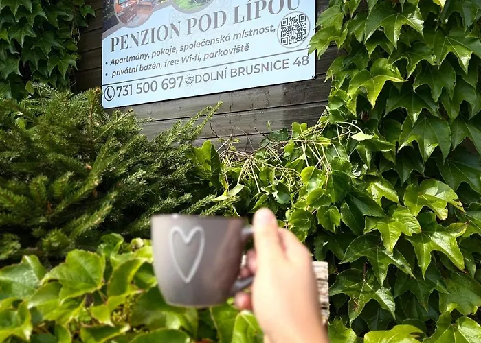 Pod Lipou